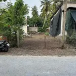 Bán nền mặt tiền Tân Thành Bình 365m² 800 triệu - Ảnh thu nhỏ 2