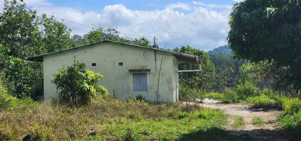 Bán lô đất 3000m² với nhà cấp 4, Xuân Thọ, Bình Dương - Ảnh thu nhỏ 2