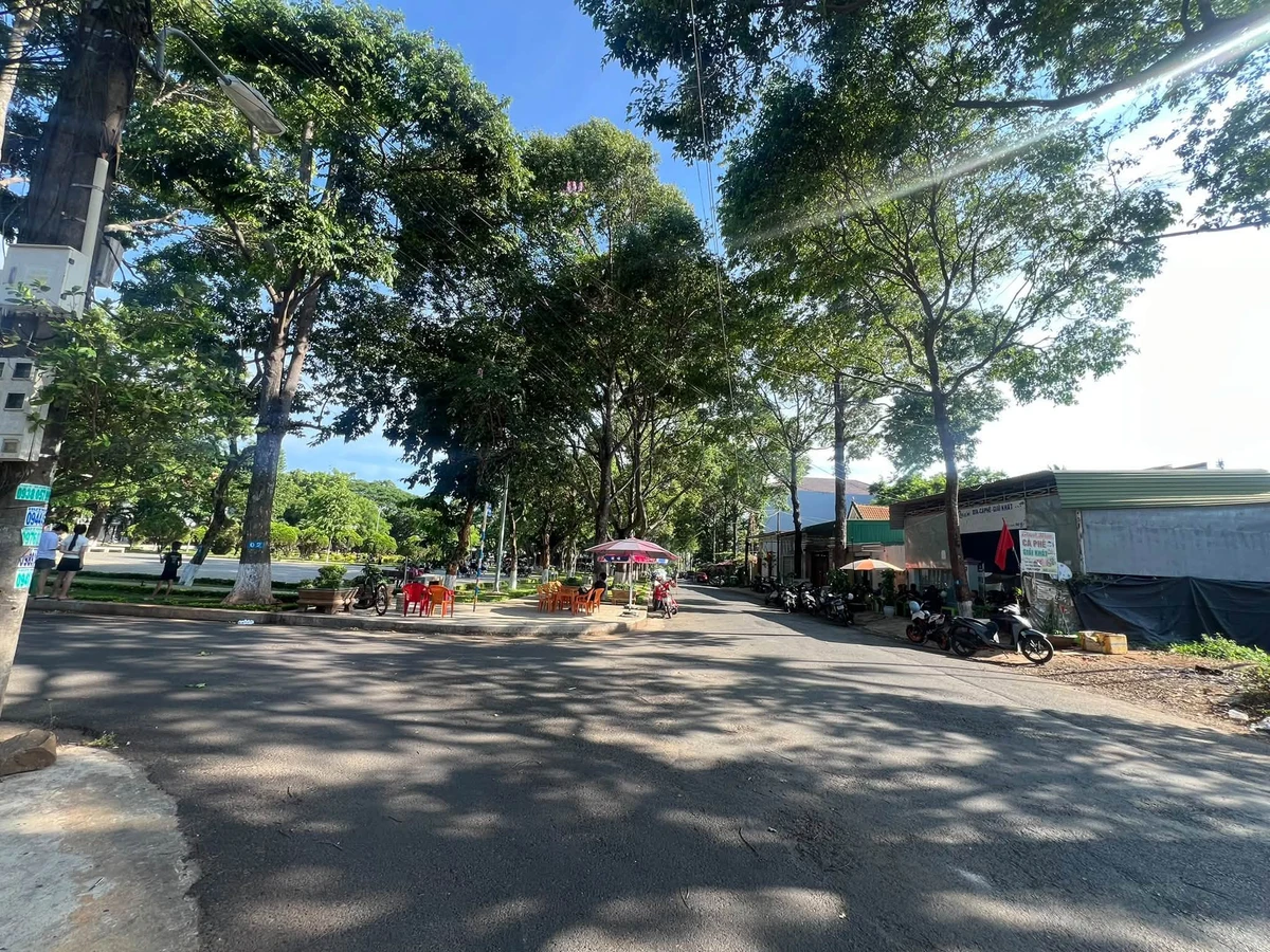 Bán đất mặt tiền kinh doanh đường Phạm Văn Bạch 5x20m giá 3,1 tỷ tại Buôn Ma Thuột, Đắk Lắk - Ảnh thu nhỏ 2