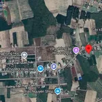 Bán đất Nguyễn Thị Lan, Bình Tân, 310m², 250 triệu - Ảnh thu nhỏ 3