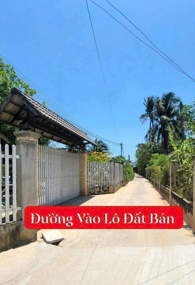 Bán đất thổ cư 98,7m2 hẻm bê tông đường Trần Quang Diệu, Xuân An, Phan Thiết - Ảnh thu nhỏ 4