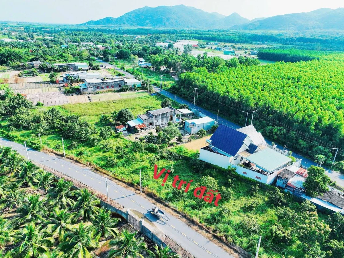 Bán đất thị trấn Phước Hải 235.6m2, gần biển - Ảnh thu nhỏ 2