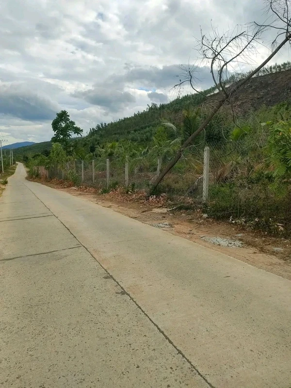 Bán lô đất RSX 15000m² view biển tại Đắk Lắk