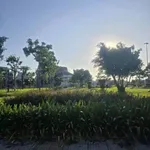 Bán lô đất 92m² mặt tiền Trần Quý Kiên Đồng Hới 3,2 tỷ - Ảnh thu nhỏ 4