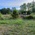 Đất thổ cư 244m² Ấp An Hòa 1 Xã Bình An 800 triệu - Ảnh thu nhỏ 3