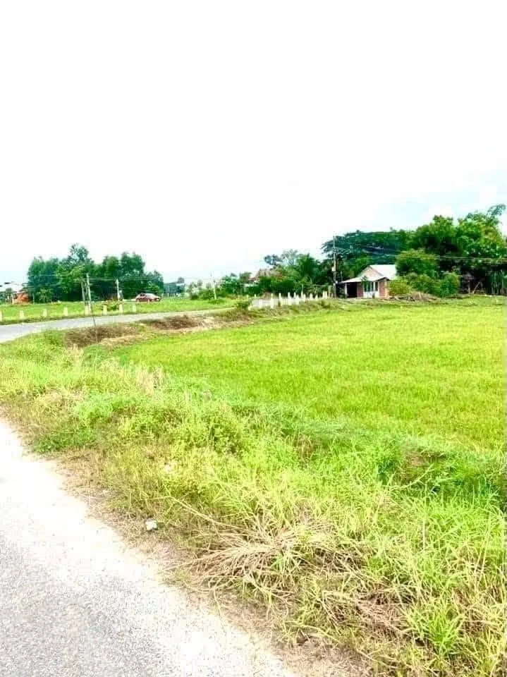 Bán đất 1109m² Đức Hòa Long An 11 tỷ 5 - Ảnh thu nhỏ 2