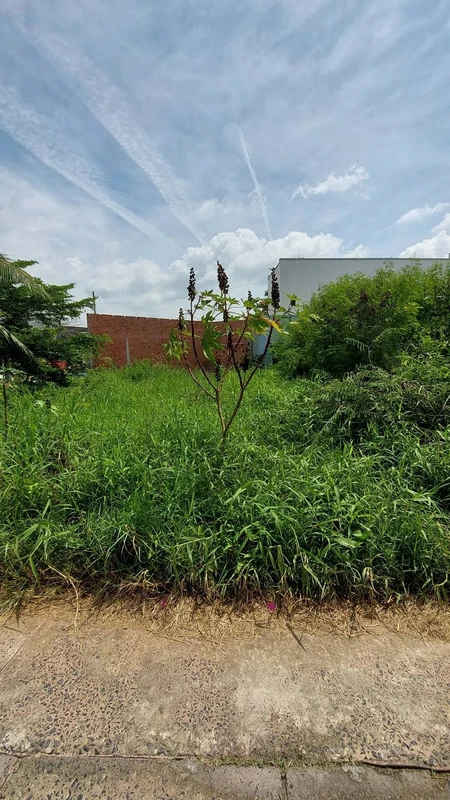 Bán lô đất 120.5m2 Phan Thiết, sổ hồng riêng