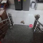 Bán nhà 2 tầng 43.2m² Phường Nam Ngạn - Ảnh thu nhỏ 4
