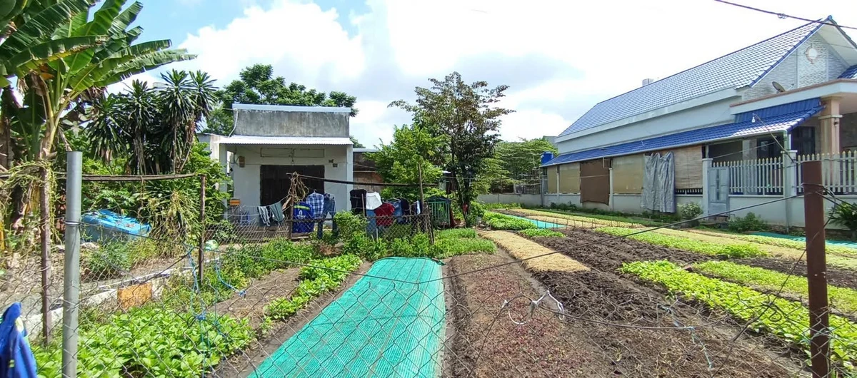 Bán đất 267.6m2 tặng nhà Giang Điền Trảng Bom - Ảnh thu nhỏ 2