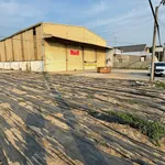 Chính chủ bán đất mặt tiền Quốc lộ 91 Mỹ Phú, Châu Phú, An Giang, SHR - Ảnh thu nhỏ 1