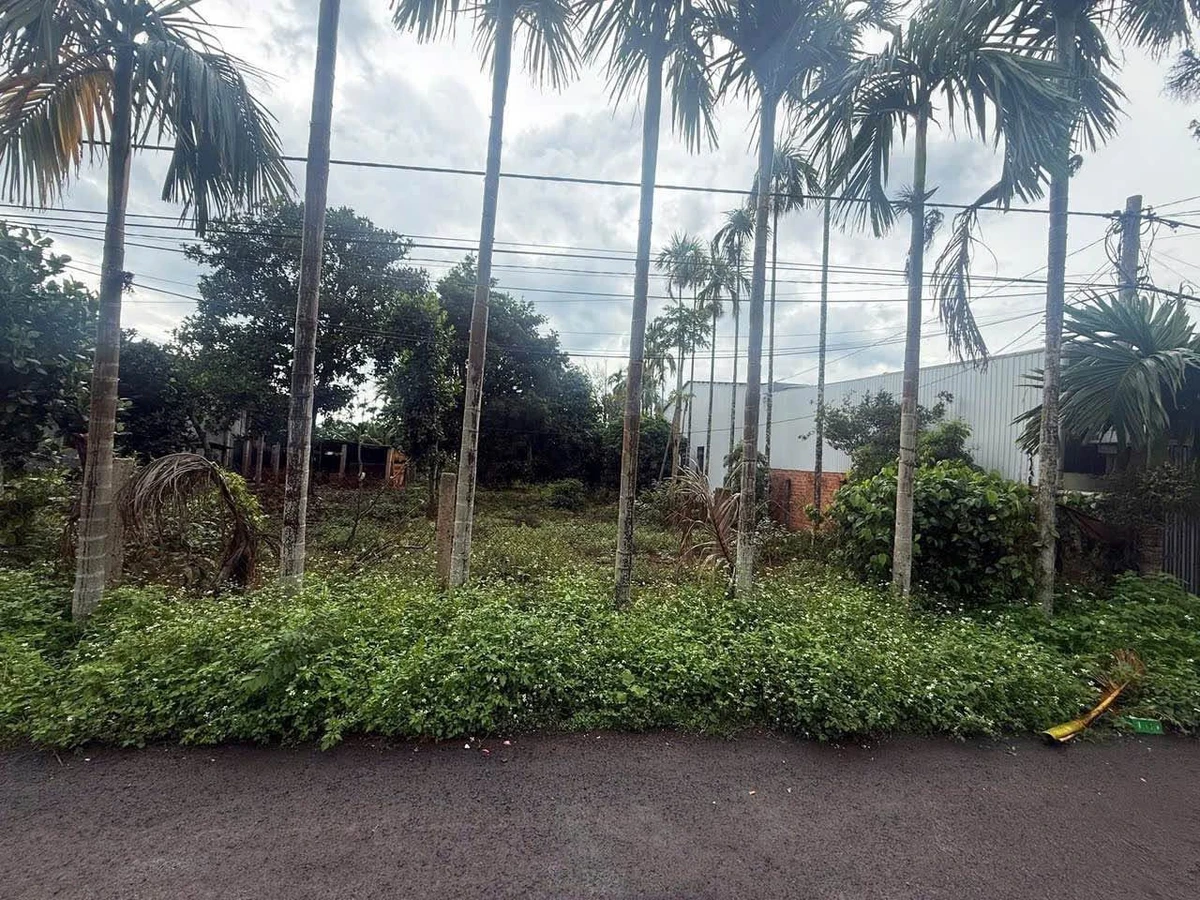 Bán đất Hòa Thuận 613,7m² mặt tiền rộng chỉ 3 tỷ - Ảnh thu nhỏ 3