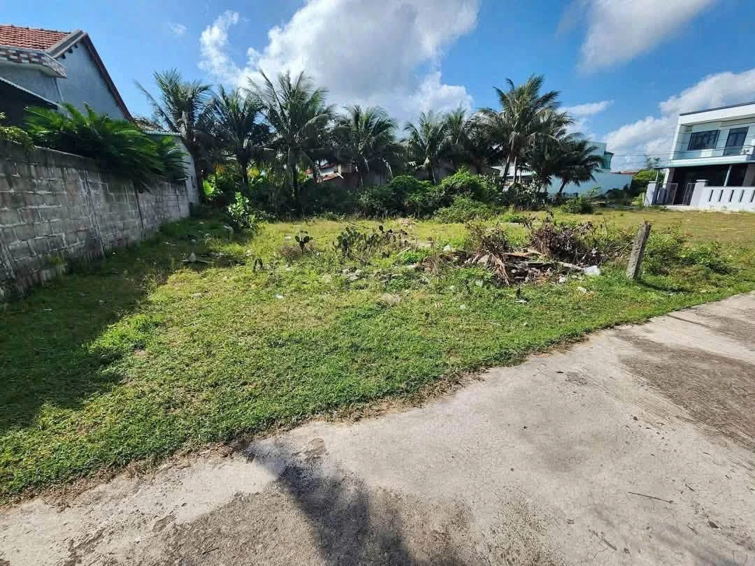 Bán đất tại Đa Ngư, Khánh Hòa 115m², 8 tỷ - Ảnh thu nhỏ 4