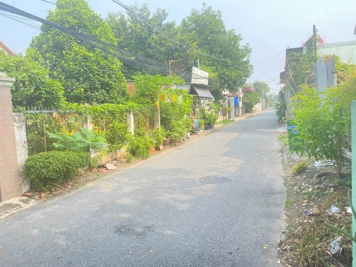 Bán đất 7,3x34m thổ cư 100m² gần vòng xoay Gò Đậu, Chánh Nghĩa, Bình Dương - Ảnh thu nhỏ 3