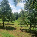 Bán đất nông doanh 6.607m² Long Khánh, Đồng Nai - 5 tỷ - Ảnh thu nhỏ 3