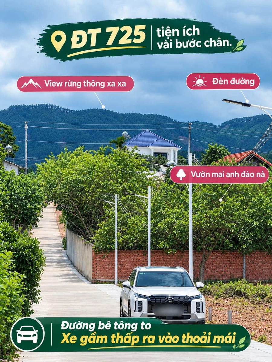 Bán đất Nam Ban ven Đà Lạt 174m² 599 triệu - Ảnh thu nhỏ 5