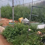 Bán đất hẻm oto 80m2 đường Nguyên Tử Lực, Đà Lạt 650 triệu - Ảnh thu nhỏ 2