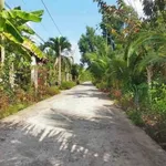 Bán đất vườn dừa 5.550m2 tại Xã Thuận Điền, Giồng Trôm, Bến Tre - Ảnh thu nhỏ 1