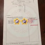 Bán gấp đất thổ cư 5x25m Chợ Đào Bình Chánh 1 tỷ 300 - Ảnh thu nhỏ 5