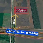 Bán đất lúa 9960m2 Tân Tây Thạnh Hóa Long An 2,1 tỷ - Ảnh thu nhỏ 3