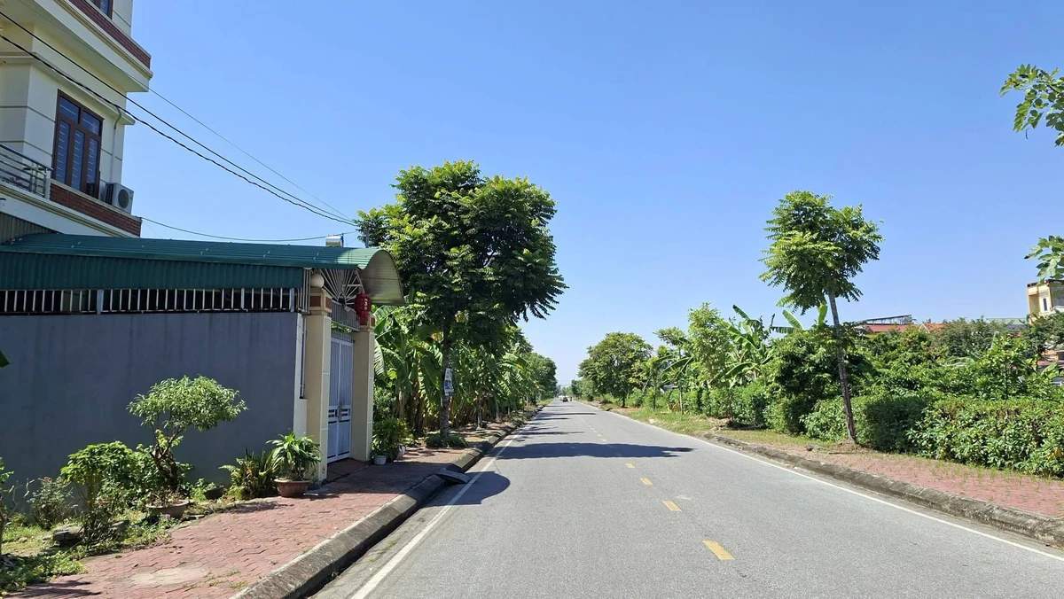 Lô đất mặt sông 125m² chỉ 2 tỷ Nam Sách Hải Phòng - Ảnh thu nhỏ 2