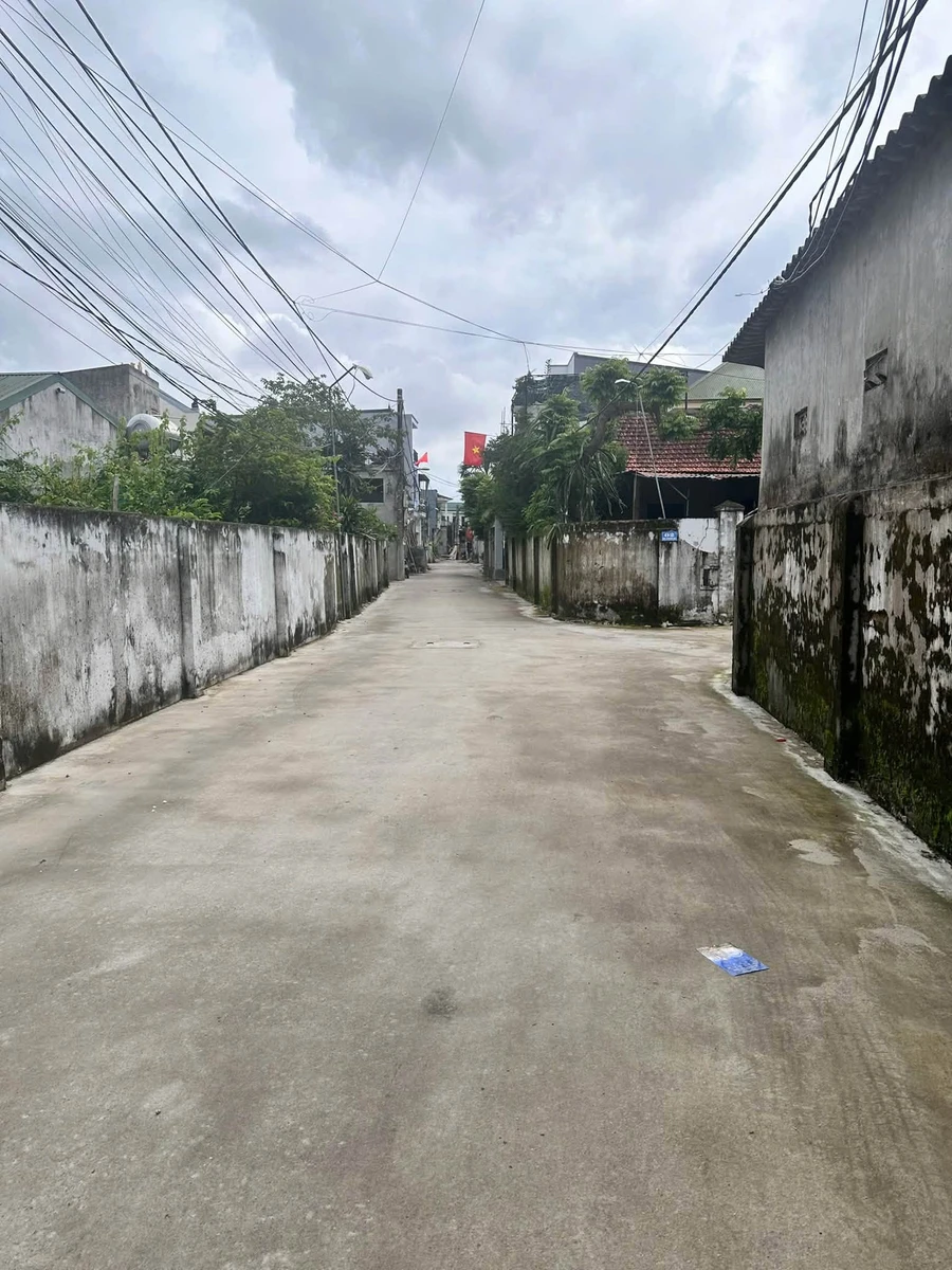 Bán đất Hưng Dũng gần Phạm Ngọc Thạch 146.9m2 mặt tiền 7m - Ảnh thu nhỏ 4