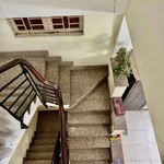 Bán nhà phố HXH Lạc Long Quân 55.9m² 5PN 8.6 tỷ Q7 - Ảnh thu nhỏ 3