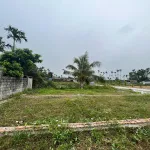 Lô đất rẻ đẹp nhì Kiến Thụy giá trị thực sinh lời tốt cho nhà đầu tư. LH: 0984 986 *** - Ảnh thu nhỏ 11