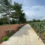 Bán đất 91,3m² tại Xã Xuân Đông, Đồng Nai - 260 triệu - Ảnh thu nhỏ 2