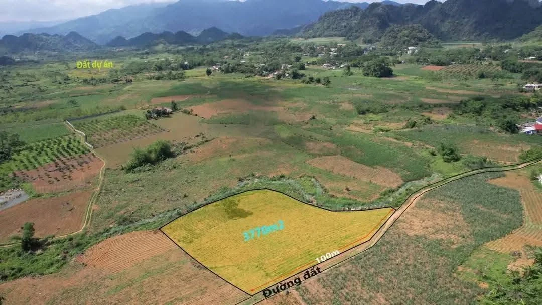 Bán đất 3750m2 mặt tiền 100m Mường Động, Phú Thọ - Ảnh thu nhỏ 3