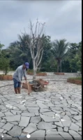 Sở hữu biệt thự vườn ven sông cửa ngõ Bến Tre cách Sài Gòn chỉ một cây cầu! - Ảnh thu nhỏ 5