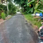 Bán đất mặt tiền Thành Triệu, Châu Thành, Bến Tre 442 m² - Ảnh thu nhỏ 1