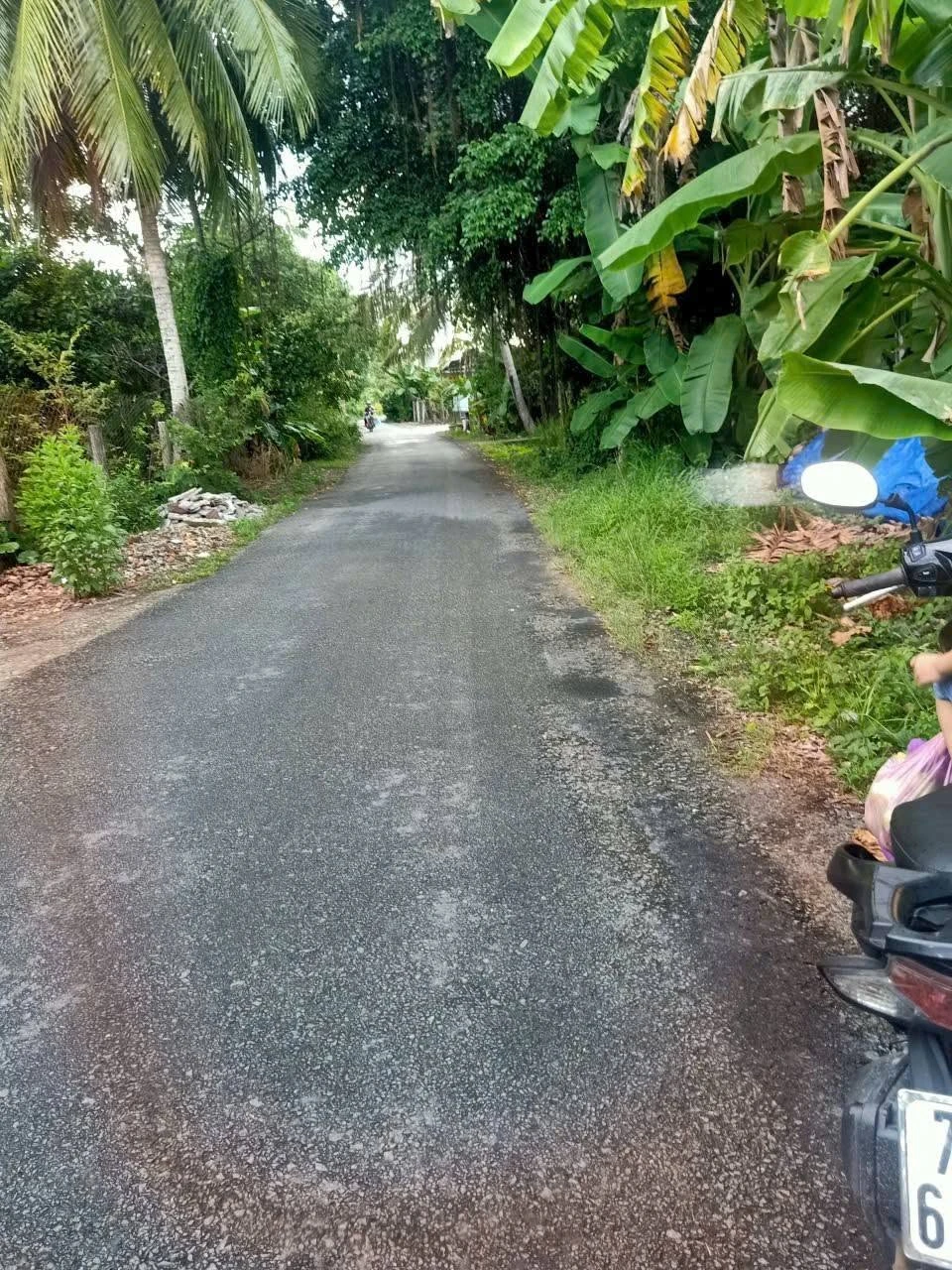 Bán đất mặt tiền Thành Triệu, Châu Thành, Bến Tre 442 m² - Ảnh 1