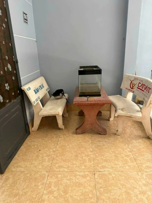 Cho thuê nhà nguyên căn 200m² Rạch Giá 4.5 triệu/tháng