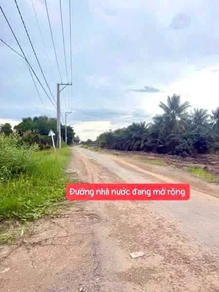 Bán đất thổ cư mặt tiền 15m Tân Bửu 181m2 giáp Bình Chánh - Ảnh thu nhỏ 2