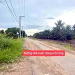 Bán đất thổ cư mặt tiền 15m Tân Bửu 181m2 giáp Bình Chánh - Ảnh thu nhỏ 2