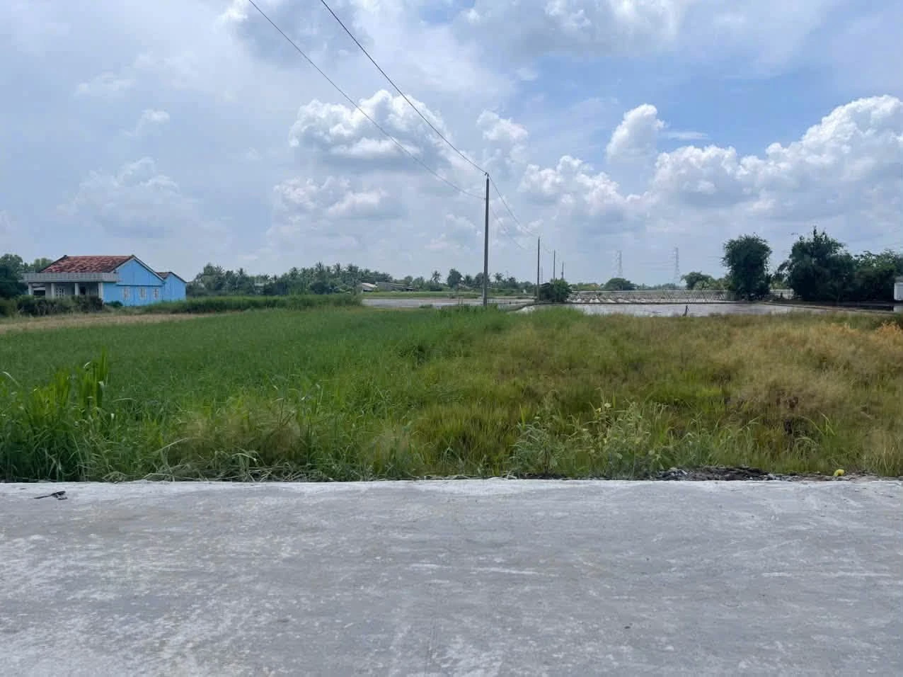 Bán đất thổ cư mặt tiền Huỳnh Ngọc Xinh Tân Trụ 480-650 triệu - Ảnh 1
