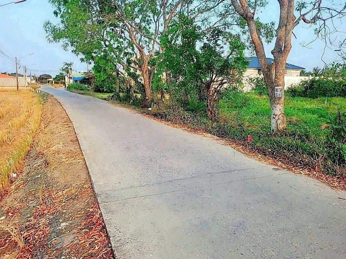 Bán đất thổ cư mặt tiền đường đan 300m2 ấp 3B Phước Lợi, Bến Lức - Ảnh 1
