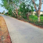 Bán đất thổ cư mặt tiền đường đan 300m2 ấp 3B Phước Lợi, Bến Lức - Ảnh thu nhỏ 1
