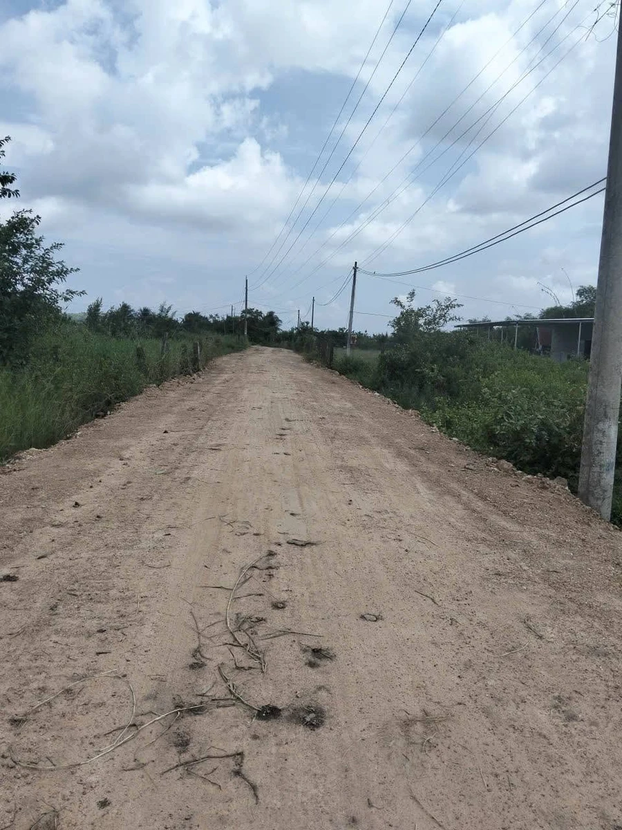 Bán đất mặt tiền 26m tại Nhà Bè, diện tích 2000m², giá 500 triệu - Ảnh thu nhỏ 3