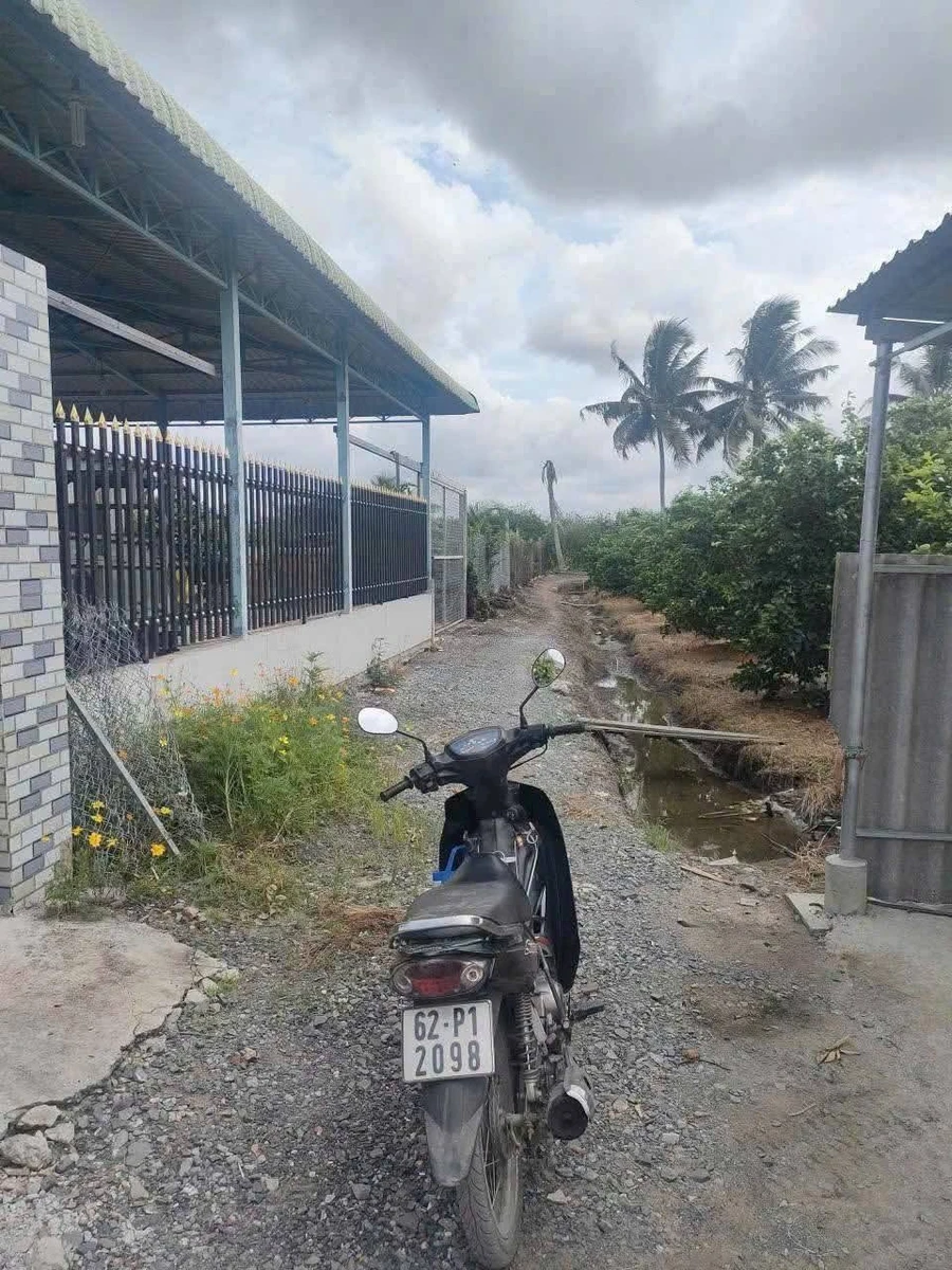 Bán nhà vườn 1097m² Bến Lức 1,8 tỷ - Ảnh thu nhỏ 2