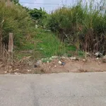 Bán lô đất thổ cư 115m² Thủ Thừa Long An - Ảnh thu nhỏ 3