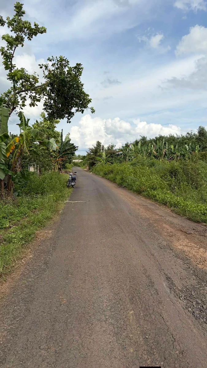 Bán đất thổ cư mặt tiền 2535m², Xã Thiên Hưng, Đồng Nai - Ảnh thu nhỏ 4
