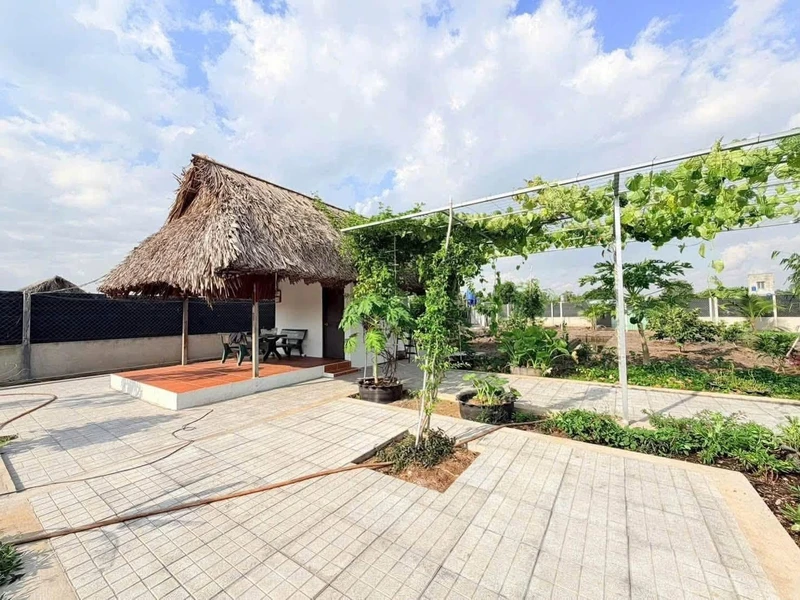Bán đất vườn 1000m2 ngang 14m, Phú Giáo Bình Dương