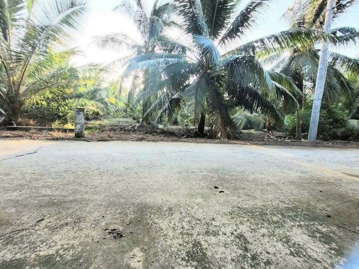 Bán đất Sơn Đông Vĩnh Long 666m2, giá 1 tỷ 180 triệu - Ảnh thu nhỏ 3