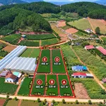 Bán đất nền nghỉ dưỡng 485 m² Nam Ban, Lâm Hà từ 975 triệu - Ảnh thu nhỏ 2