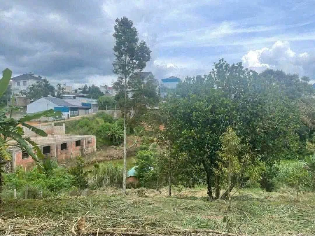 Bán đất 787m² ngay trung tâm Bảo Lộc, giá 3 tỷ - Ảnh thu nhỏ 2