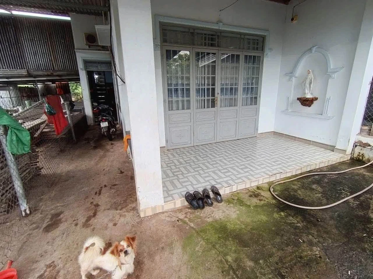 Bán đất Đông Hoà Bình Chánh 100m2 gần trường Trần Quý Cáp - Ảnh thu nhỏ 2