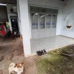 Bán đất Đông Hoà Bình Chánh 100m2 gần trường Trần Quý Cáp - Ảnh thu nhỏ 2