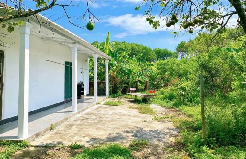 Bán đất 1.000m² có nhà nhỏ tại Phong Điền, Huế