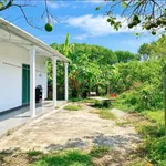 Bán đất 1.000m² có nhà nhỏ tại Phong Điền, Huế - Ảnh thu nhỏ 1
